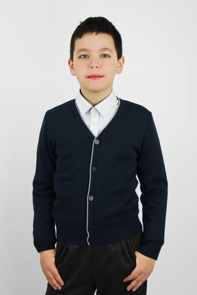 Деловой жакет из хлопка с интарсией и воротником Полесье С2442-19 0С2047-Д43 146 синий - фото 1