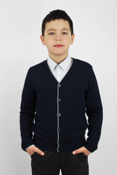 Деловой короткий жакет из хлопка с воротником и пуговицами Полесье С2442-19 0С2047-Д43 134,140 т.синий - фото 1