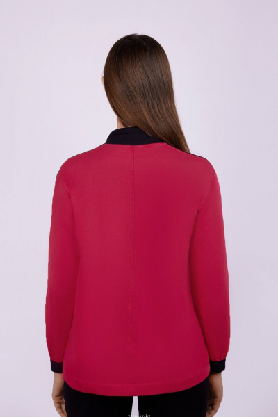 Круглогодичный спортивный трикотажный джемпер Verally 441-1 барбарис - фото 2