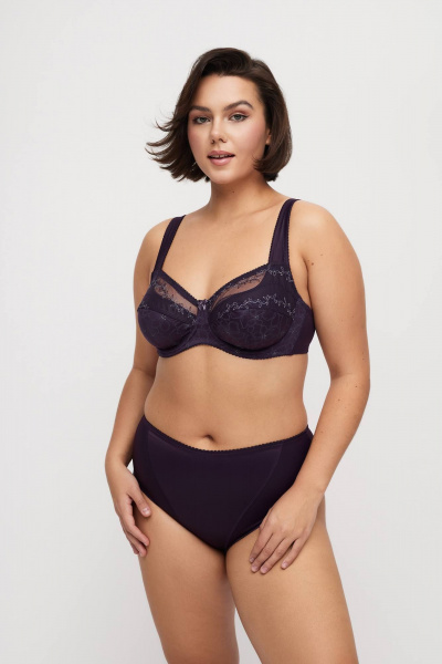 Фиолетовые трусы из трикотажа и кружева Milady 218-1 56.0 - фото 2