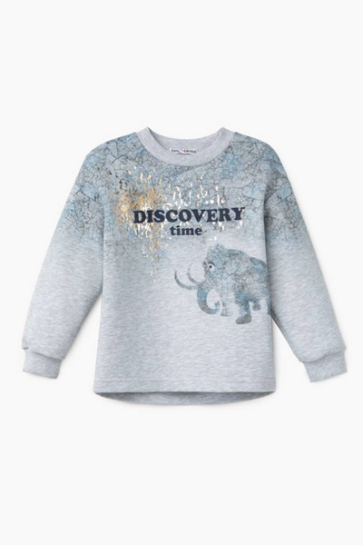 Демисезонный свободный джемпер с принтом и золотистым декором Bell Bimbo 202107 серый меланж - фото 1