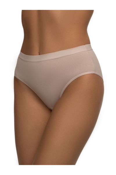 Трусы слыпы из трикотажа хлопка с эластаном и средней линией BRAVO 101L серебристый_пион - фото 1