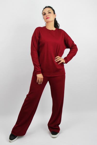 Спортивный комплект брюки и джемпер из трикотажа Полесье С0217-24 4С0721-Д43 164 бордовая_роза - фото 1