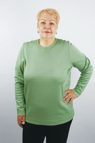 Джемпер на каждый день из трикотажа хлопка в зеленом цвете Полесье С1954-24 4С0711-Д43 158,164 зеленый_агат - фото 1