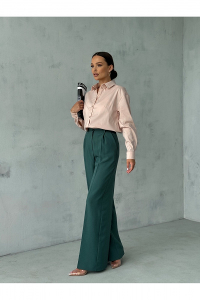 Блузка с воротником и рукавом рубашечного типа для офиса Dilana VIP 2061 пудра - фото 12