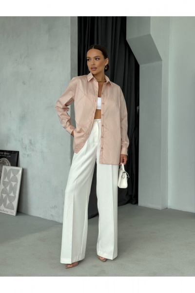 Блузка с воротником и рукавом рубашечного типа для офиса Dilana VIP 2061 пудра - фото 1