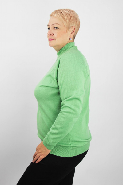 Демисезонный вязаный свитер-прямой с регланом, регулятор Полесье С3316-15 5С1754-Д43 158,164 киви - фото 2
