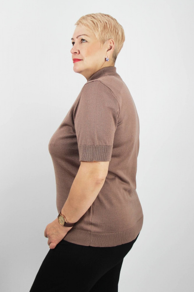 Демисезонный полуприлегающий свитер из хлопка с воротником-стойкой Полесье С3548-19 0С2035-Д43 158,164 светло-коричневый - фото 2