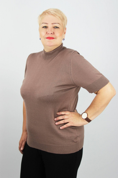 Демисезонный полуприлегающий свитер из хлопка с воротником-стойкой Полесье С3548-19 0С2035-Д43 158,164 светло-коричневый - фото 1