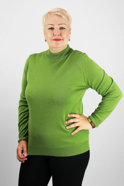 Демисезонный свитер прямого силуэта с длинным рукавом и воротником-стойкой Полесье С3731-23 3С8783-Д43 170,176 васаби - фото 1