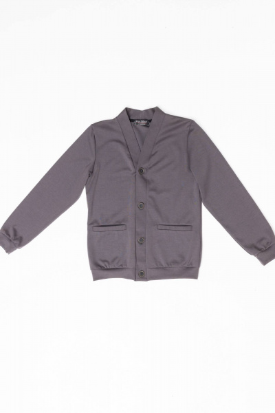 Деловой джемпер из трикотажа для мальчика с V-образным вырезом Pan-Mod 4503 серый - фото 3