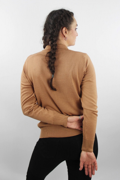 Джемпер реглан прямой из хлопка для демисезона Полесье С1673-23 4С0673-Д43 170,176 мусс_мокко - фото 3