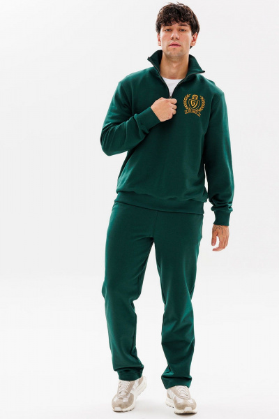 Демисезонный спортивный костюм брюк и джемпера из трикотажа GO M3077/25-02.176-182 - фото 5