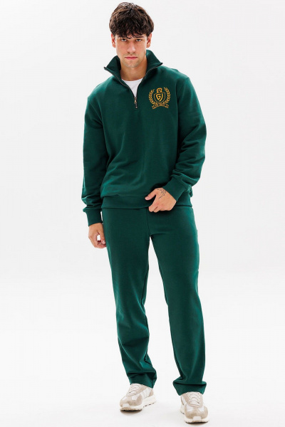 Демисезонный спортивный костюм брюк и джемпера из трикотажа GO M3077/25-02.176-182 - фото 1