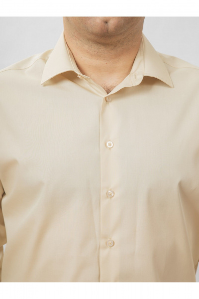 Круглогодичная slim рубашка из хлопка с гладью Nadex 01-088511/204-24 латте - фото 5