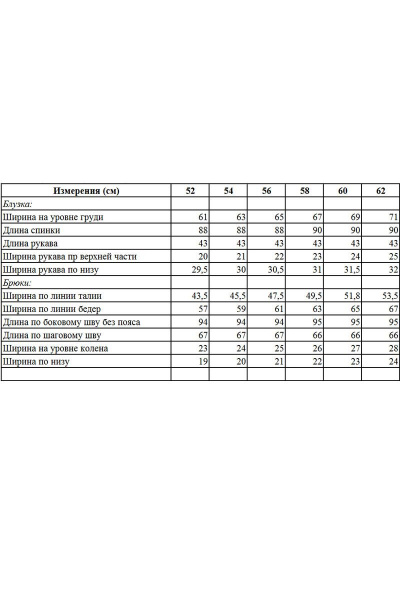 Блуза, брюки ANASTASIA MAK 660 серый - фото 5