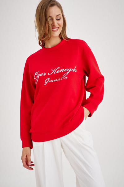 Красный свитшот с надписью в стиле Old money EZER 1601 алый - фото 1