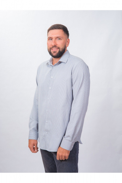 Рубашка в клетку классический крой для делового образа Nadex 01-088812/403-24 бежево-сине-белый - фото 10