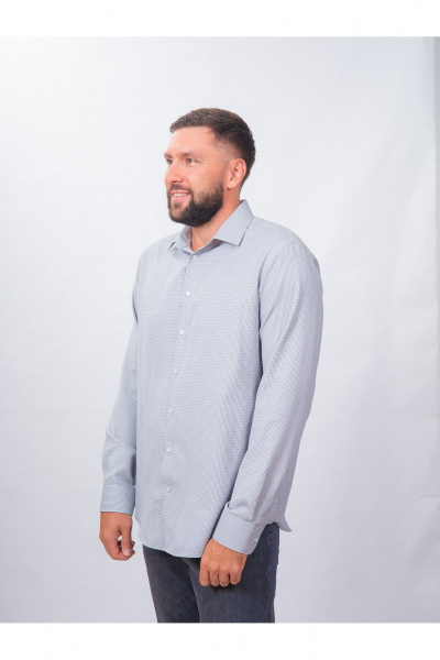 Рубашка в клетку классический крой для делового образа Nadex 01-088812/403-24 бежево-сине-белый - фото 9