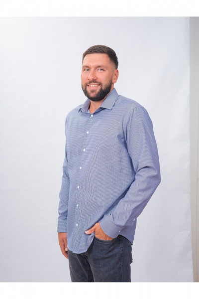 Рубашка в клетку классический стиль для повседневной носки Nadex 01-088812/403-24 сине-белый - фото 7
