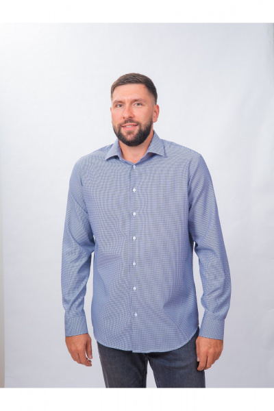 Рубашка в клетку классический стиль для повседневной носки Nadex 01-088812/403-24 сине-белый - фото 2