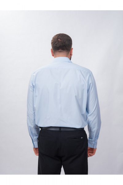 Рубашка из хлопка на пуговицах с длинным рукавом Nadex 01-094912/204-24 светло-голубой - фото 2