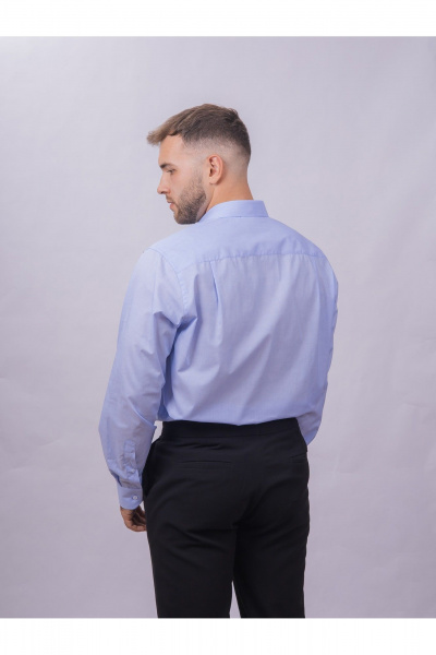 Рубашка классическая в полоску из хлопка для офисного стиля Nadex 01-095013/203-24 светло-голубой - фото 3