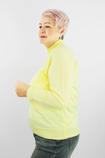 Жёлтый свитер из трикотажа с регланом для повседневной носки Полесье С3316-15 5С1754-Д43 158,164 шампанское - фото 2