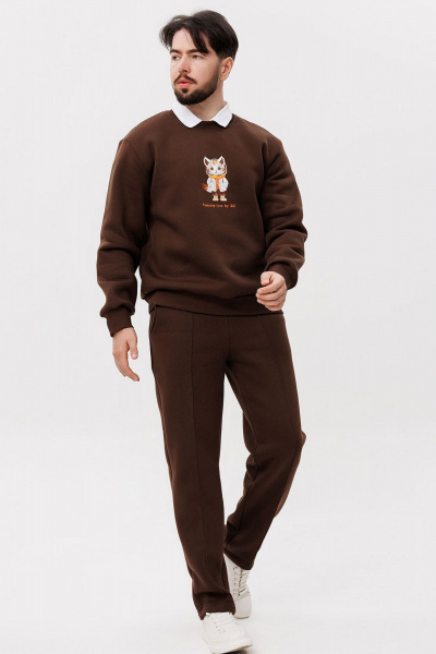 Коричневый демисезонный свитшот с вышивкой и классической посадкой GO m4091/23-03.182-188 - фото 2