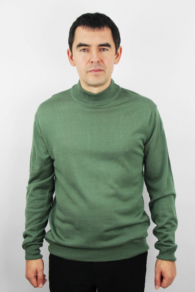 Свитер из трикотажа зеленый с облегающим силуэтом Полесье С3012-15 5С1749-Д43 170,176 зеленый_залив - фото 1