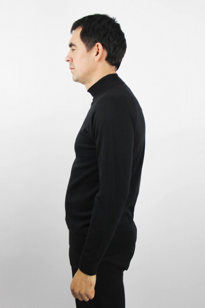 Прямой свитер с регланом и двойной воротник-стойкой Полесье С3152-23 4С0676-Д43 170,176 черный_антрацит - фото 2