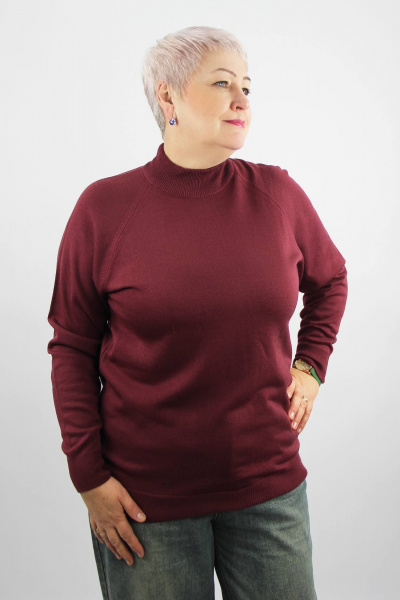 Демисезонный трикотажный свитер реглан с двойной стойкой Полесье С3316-15 5С1754-Д43 158,164 ликер - фото 1