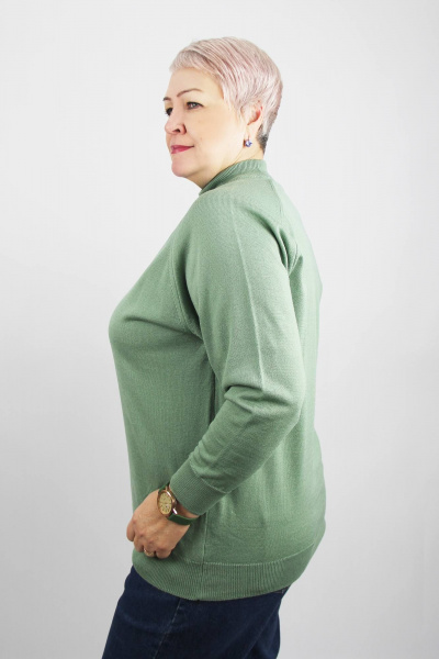 Демисезонный трикотажный свитер реглан с двойной стойкой Полесье С3316-15 5С1754-Д43 158,164 молодой_кактус - фото 2