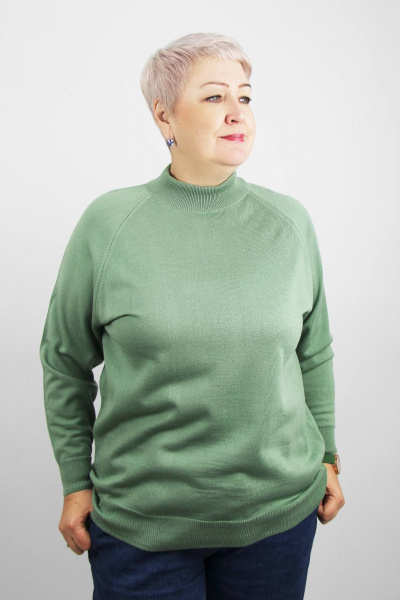 Демисезонный трикотажный свитер реглан с двойной стойкой Полесье С3316-15 5С1754-Д43 158,164 молодой_кактус - фото 1