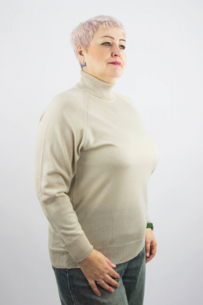 Свитер реглан с высоким воротником для демисезона Полесье С3433-17 7С1582-Д43 170,176 слоновая_кость - фото 2