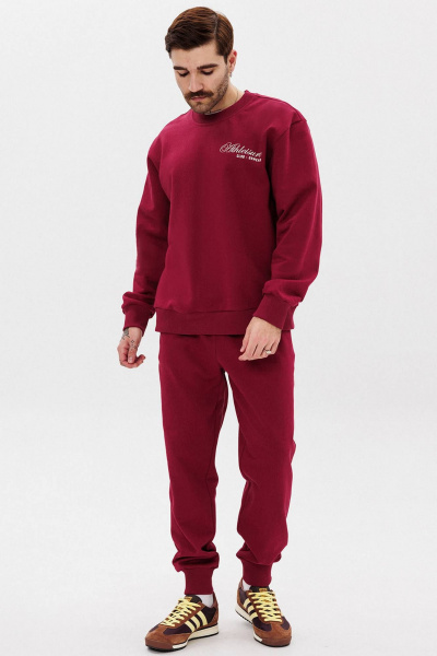 Костюм из хлопка с свитшотом и брюками для активных GO M3107а/12-012.182-186 - фото 6