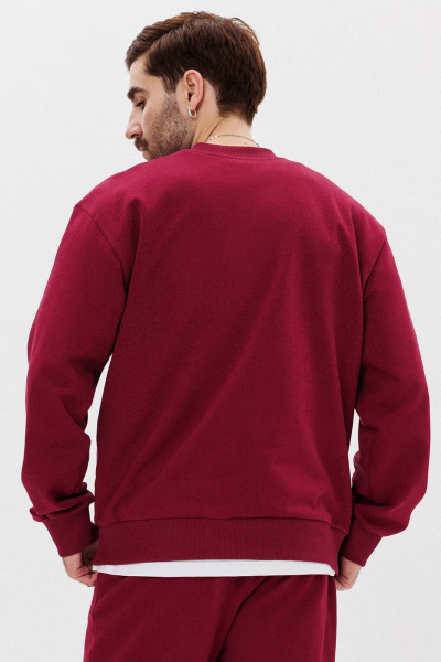 Свитшот хлопковый с печатью и манжетами для мужчин GO M4107а/12-01. 182-188 - фото 3