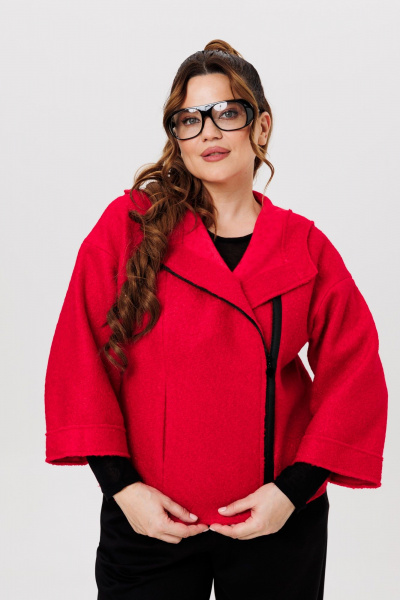 Костюм Брюки и Жакет с капюшоном из шерсти и трикотажа Michel chic 1357/1 красный,черный - фото 7