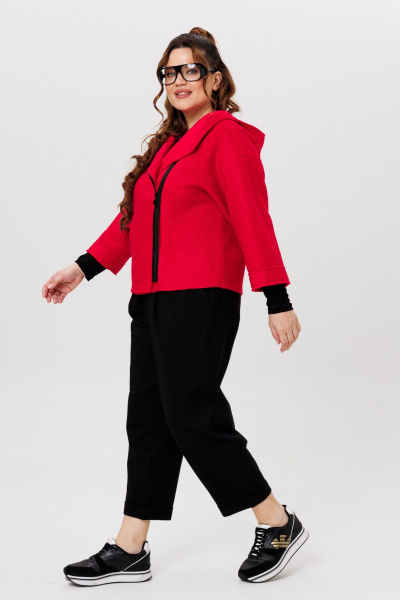 Костюм Брюки и Жакет с капюшоном из шерсти и трикотажа Michel chic 1357/1 красный,черный - фото 5