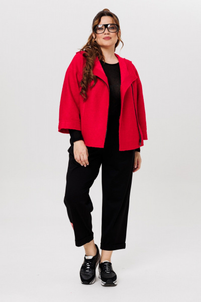 Костюм Брюки и Жакет с капюшоном из шерсти и трикотажа Michel chic 1357/1 красный,черный - фото 3