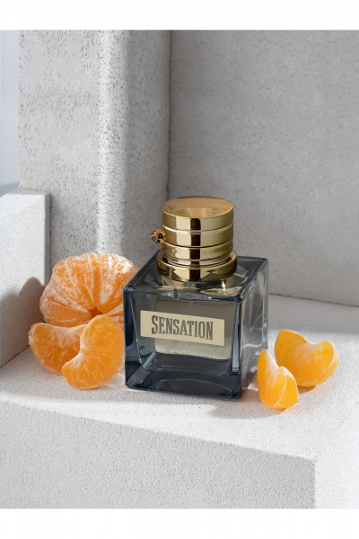 Аромат мужской древесные восточные 80 мл DILIS La Vie Sensation - фото 2