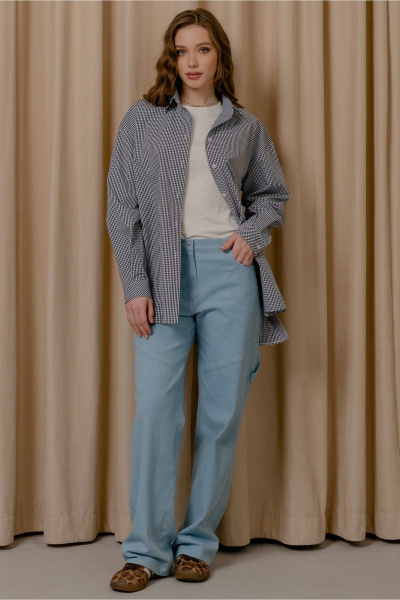 Демисезонная рубашка в клетку с закругленным низом JRSy 2535 белый_в_синюю_клетку - фото 1