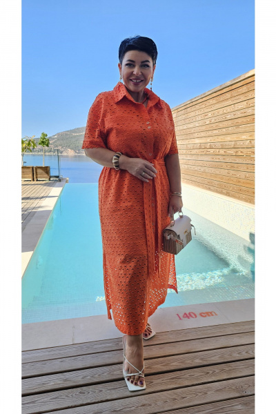 Платье Vittoria Queen 24393 оранжевый - фото 4