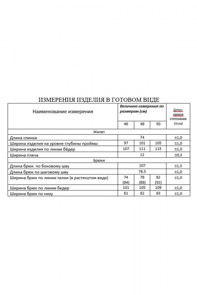 Брюки, жилет Lissana 4882 фиолетовый - фото 7