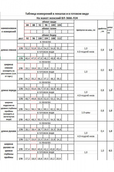 Жакет КАЛИНКА ВЛ-3666-Л24 мультиколор - фото 5