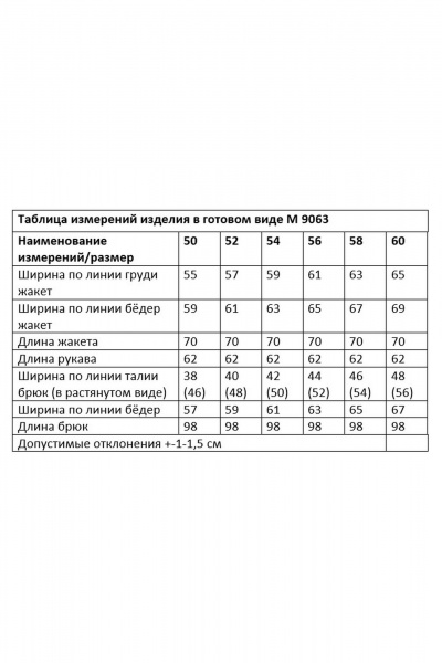 Брюки, жакет Andina city 9063-25  синий - фото 9