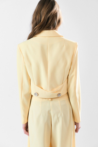 Брюки, жакет MilMil 1189 желтый - фото 3