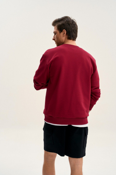 Свитшот GO M4107E/12-01.176-182 - фото 5