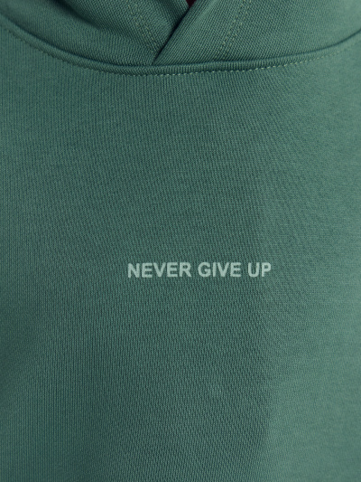 Брюки, худи Mark Formelle 393347/Ф22/25179П-7 темная_зелень_печать_1_сл_на_пол_1сл_на_ПР_рук_1сл - фото 8