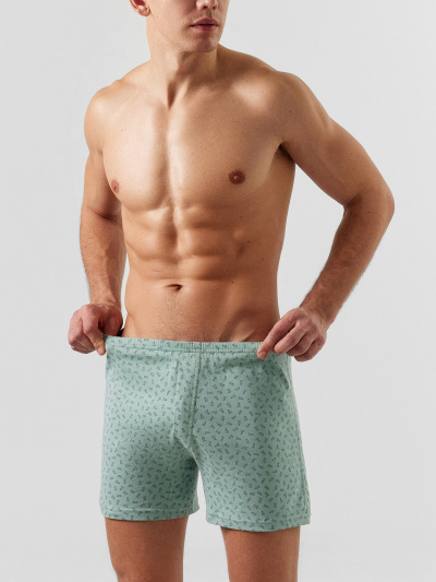 Трусы Mark Formelle 411158/24-4460П-0 геометрия_на_шалфее - фото 5